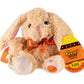 Reese Long Ear Bunny Plush with Mini Reese Cups